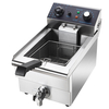 Electic Fryer