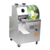 Sugar Cane Juice Machine