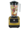 Multifunctional Juicer