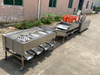 Orange Processing Line