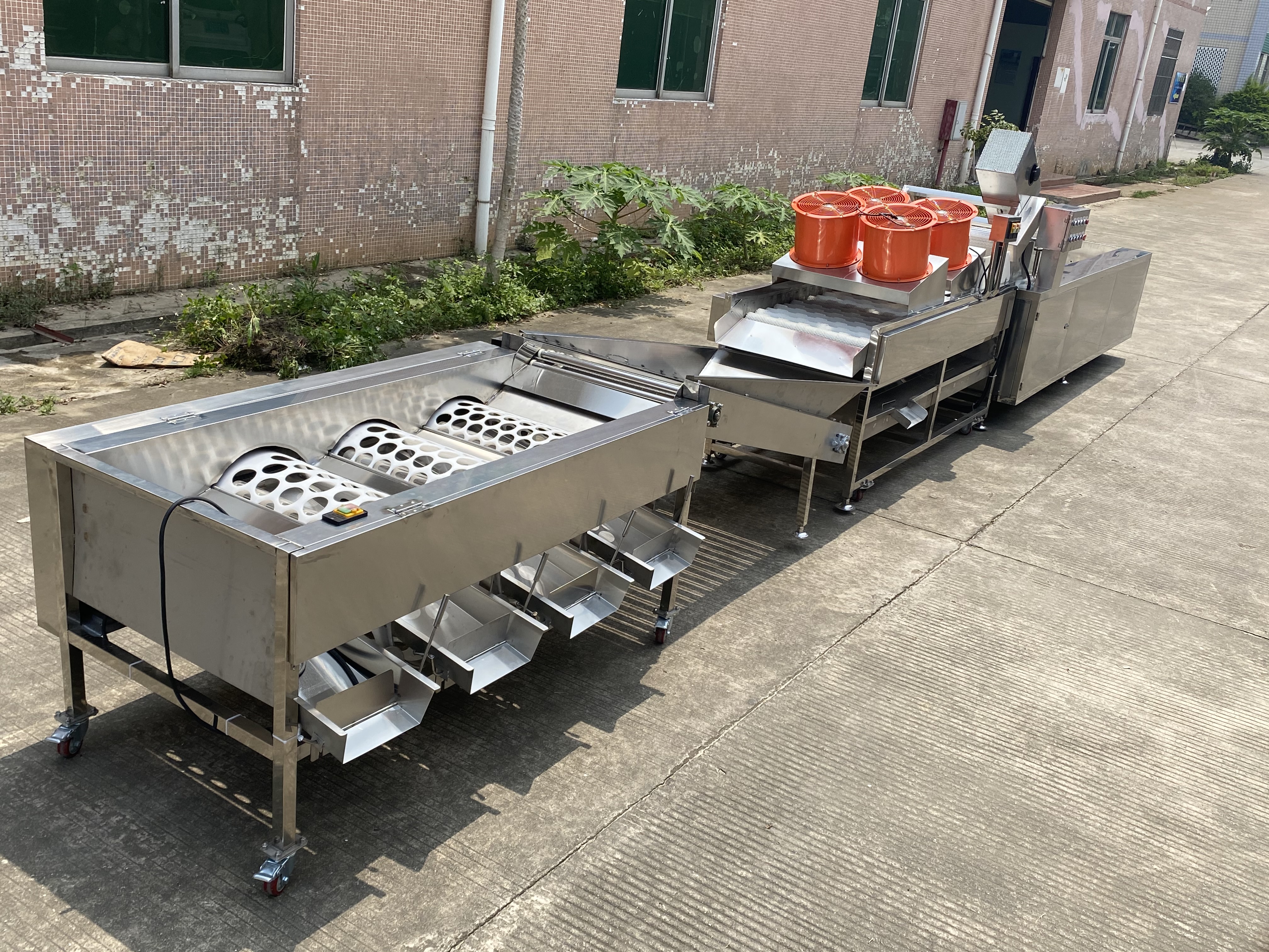 Orange Processing Line
