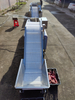Sweet Potato Processing Line
