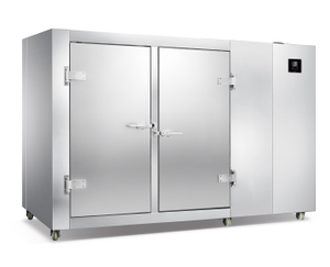 Seafood Blast Freezer