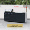Outdoor Kitchen Stainless Steel BBQ Grill 