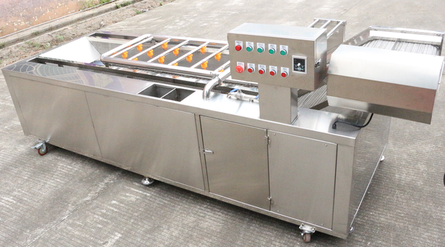 Orange and Lemon Juice Processing Line