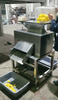 Orange and Lemon Juice Processing Line